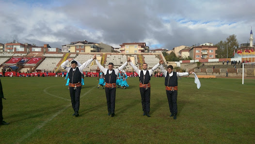 Bilecik Edebali Stadyumu Stadyum görseli
