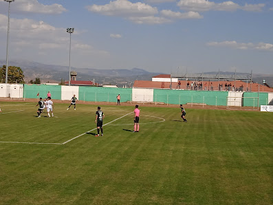 Şehir Stadyumu