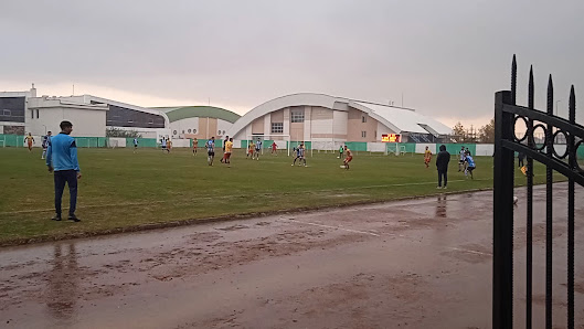 Şehir Stadyumu Videolar görseli