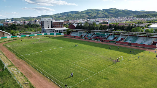 Şehir Stadyumu Futbol görseli