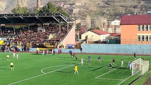 Bitlis 8 Ağustos Stadyumu Videolar görseli