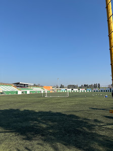 Şenol Güneş Stadyumu
