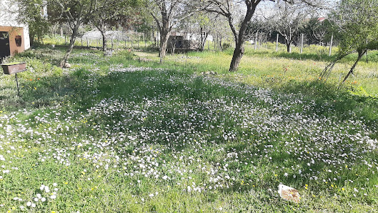Çanakça köyü stadyumu