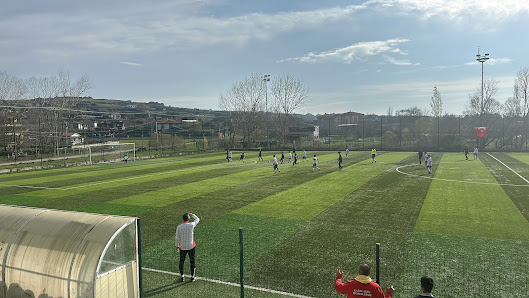 Çanakça köyü stadyumu Stadyum görseli