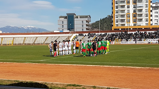 Gazi Osman Paşa Stadyumu Stadyum görseli