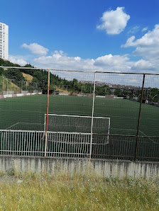 Albayrak Çim Saha