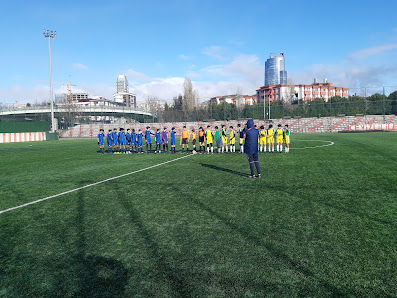 Kartal 75. Yıl Stadı