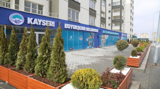 Mevlana Kütüphanesi Tümü görseli
