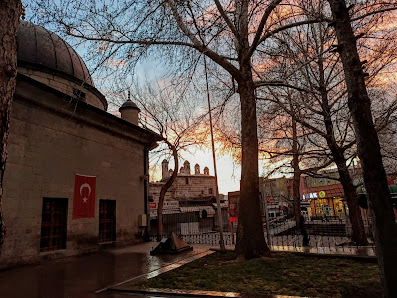 Raşit Efendi Yazma Eser Kütüphanesi Sahibinin seçtikleri görseli