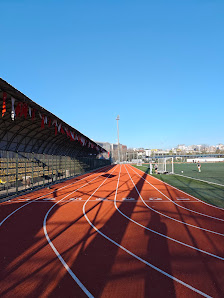 Hasbahçe Stadı Stadyum görseli