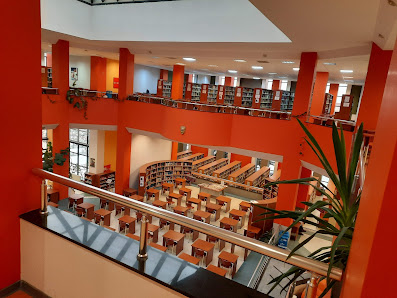 Kocaeli Üniversitesi Kütüphane ve Dokümantasyon Daire Başkanlığı Tümü görseli
