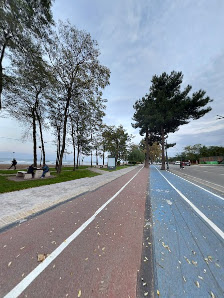 Ordu Gazi İl Halk Kütüphanesi Müdürlüğü Street View ve 360° görseli