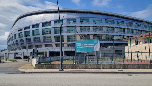 Ordu Şehir Stadı