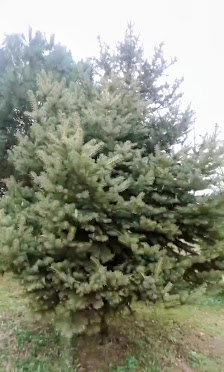 Sakarya Üniversitesi Merkez Kütüphanesi Videolar görseli