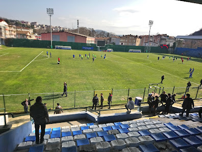 Yusuf Ziya Öniş Stadyumu Tümü görseli