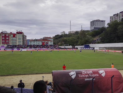 Sinop Stadyumu