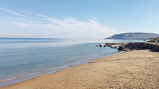 Sinop Stadyumu Videolar görseli