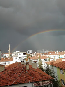 Tokat İl Halk Kütüphanesi Sahibinin seçtikleri görseli
