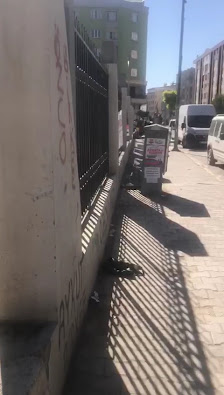 VAN İL HALK KÜTÜPHANESİ Videolar görseli
