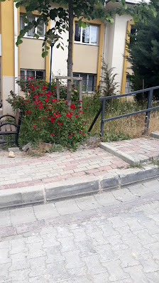 Başakşehir 15 Nolu ASM Videolar görseli
