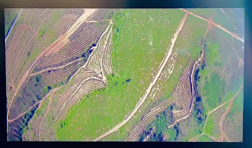 Başakşehir İlçe Sağlık Müdürlüğü Videolar görseli