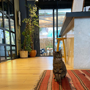 The Factory Coffee Sahibinin seçtikleri görseli
