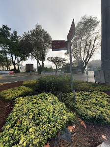 T.C. Sağlık Bakanlığı TARABYA AİLE SAĞLIĞI MERKEZİ Street View ve 360° görseli