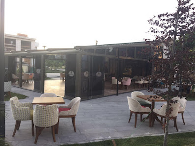 Altaş Zeytin Bahçe