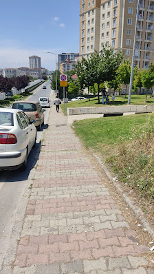 Çamlık Aile Sağlığı Merkezi (090 Nolu) Videolar görseli