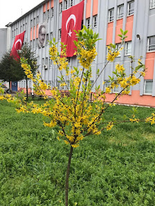 Rahmi Kula Anadolu Lisesi Sahibinin seçtikleri görseli