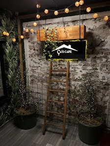 Çatı Cafe Tümü görseli