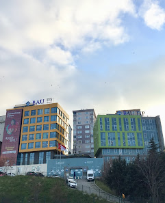 Bahçeşehir Üniversitesi Tıp Fakültesi