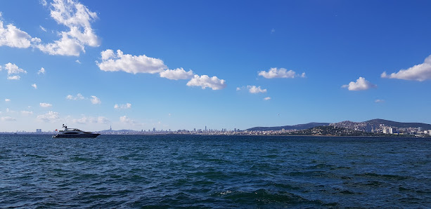 Rabia'nın Yeri Tümü görseli