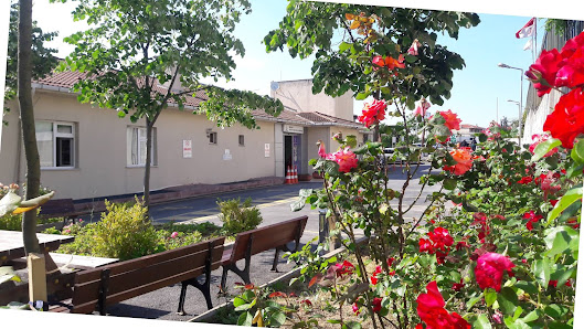 Beykoz Ağız ve Diş Sağlığı Merkezi Tümü görseli