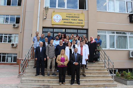 Paşabahçe Ahmet Ferit İnal Anadolu Lisesi Sahibinin seçtikleri görseli