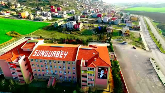 Sungurbey Anadolu Lisesi Sahibinin seçtikleri görseli