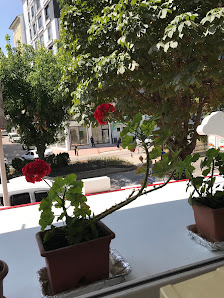 Subaşı ızgara salonu Tümü görseli