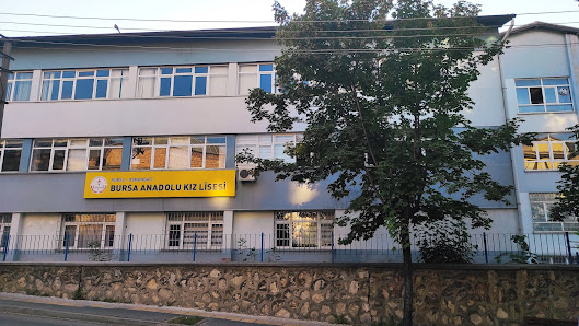 Bursa Anadolu Kız Lisesi Tümü görseli