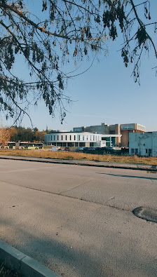 Bursa Uludağ Üniversitesi Peyzaj görseli