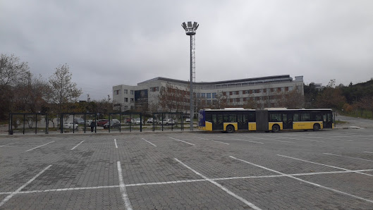 İstanbul Cerrahpaşa Üniversitesi Tümü görseli