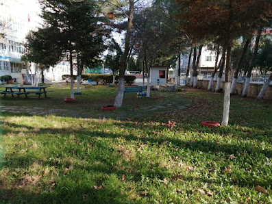 Çanakkale İbn-i Sina Mesleki ve Teknik Anadolu lisesi Tümü görseli