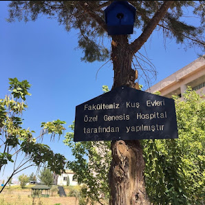 Özel Genesis Hospital Sahibinin seçtikleri görseli