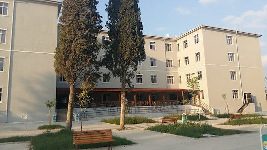 Adana Fen Lisesi Sahibinin seçtikleri görseli