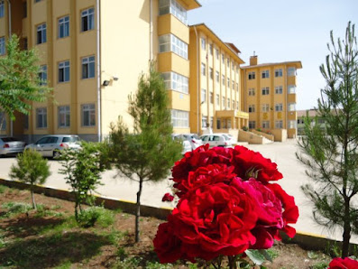 Sezai Karakoç Anadolu Lisesi Sahibinin seçtikleri görseli