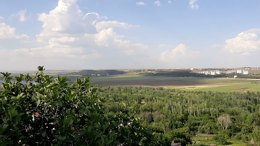 Dicle Üniversitesi Videolar görseli