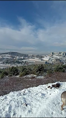 Düzce Üniversitesi Videolar görseli