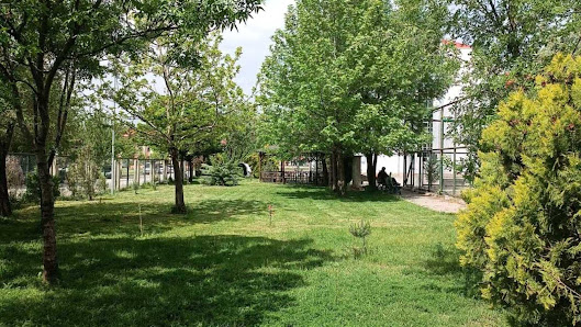 Ertuğrulgazi Anadolu Lisesi Sahibinin seçtikleri görseli
