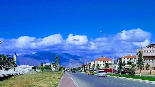 Erzincan Binali Yıldırım Üniversitesi-Tıp Fakültesi Tümü görseli