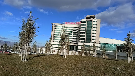 Nene Hatun Kadın Doğum Hastanesi Videolar görseli
