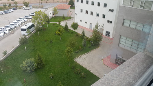 Eskişehir Ağız Ve Diş Sağlığı Hastanesi Sahibinin seçtikleri görseli